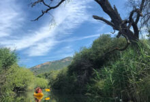 Canoë kayak galeria