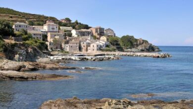 Hôtel Restaurant U Patriarcu