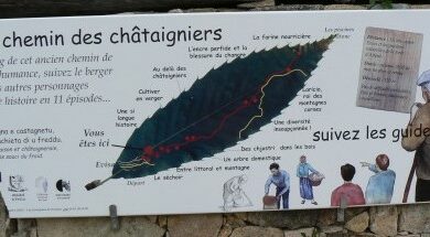 chemin des châtaigniers à Evisa