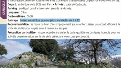 Sentier forestier de Carbuccia - Peri