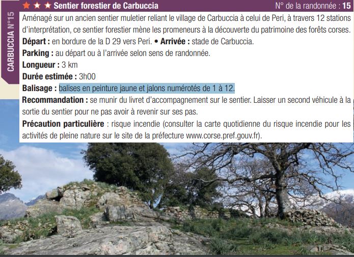 Sentier forestier de Carbuccia - Peri