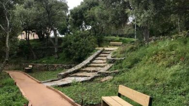 arboretum des oliviers - Ville-di-Pietrabugno