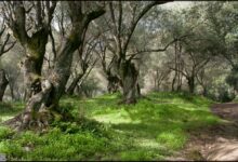 Jardins des Milelli ajaccio