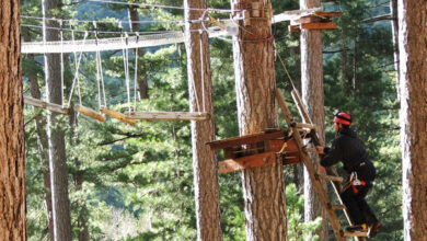 Le Parc Aventure du Valdoniellu