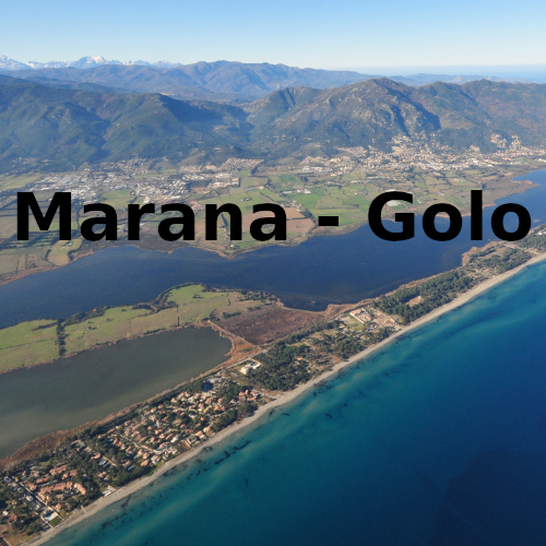Marana - Golo
