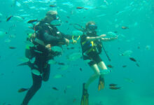 Club de Plongée A Madreperla