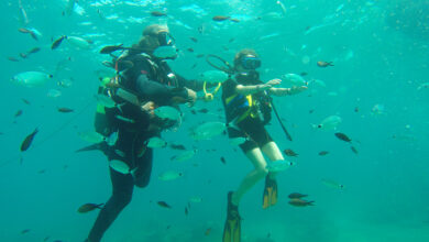 Club de Plongée A Madreperla