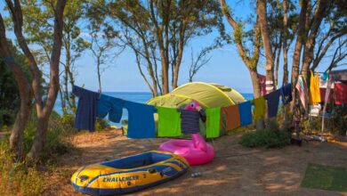 Camping naturiste Bagheera