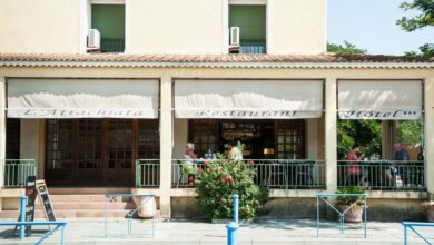 Atrachjata Adonis aléria