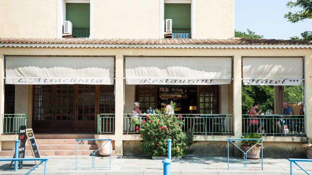 Atrachjata Adonis aléria