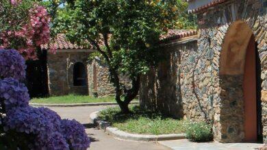 Le Clos des Oliviers, Querciolo, Sorbo-Ocognano