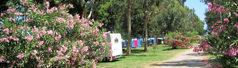 Camping Miami Plage, Poggio Mezzana