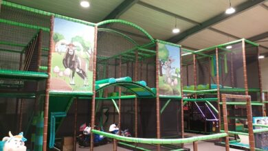 Machja Zitellina, Folelli