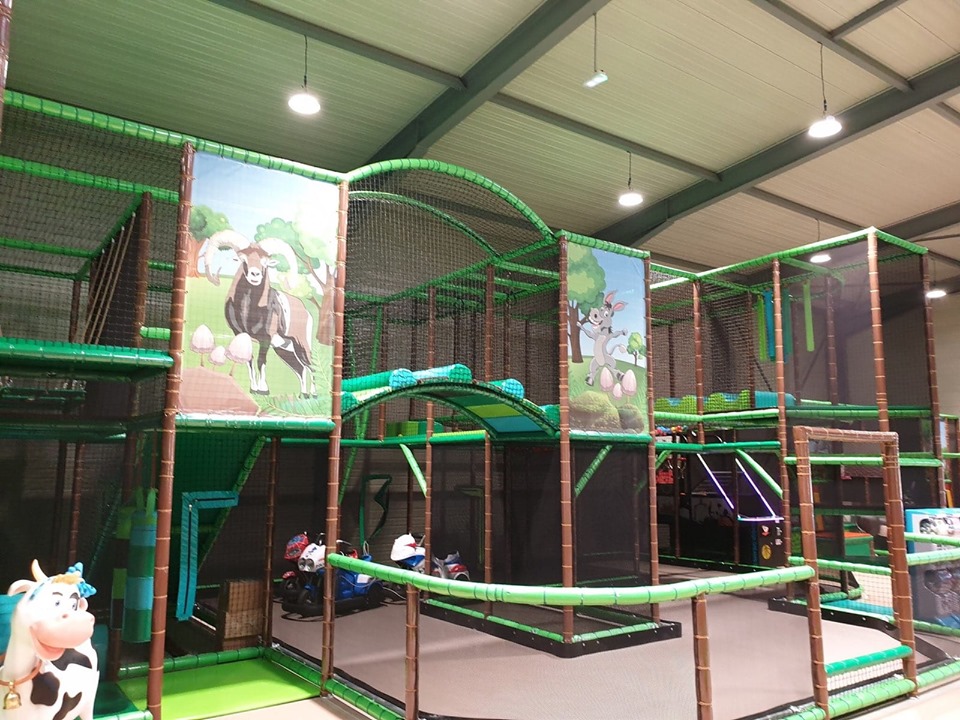 Machja Zitellina, Folelli