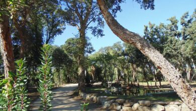 Parc Padulella - San Nicolao