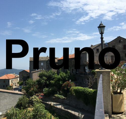 Pruno, Corse