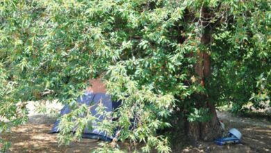 Camping les prairies, Scata