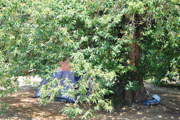 Camping les prairies, Scata