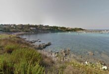 Plage de San Damiano, Algajola