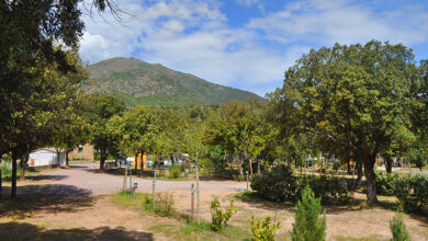 camping e canicce Moltifao