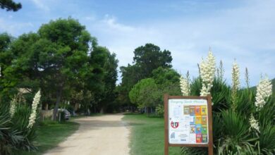 camping santa marina