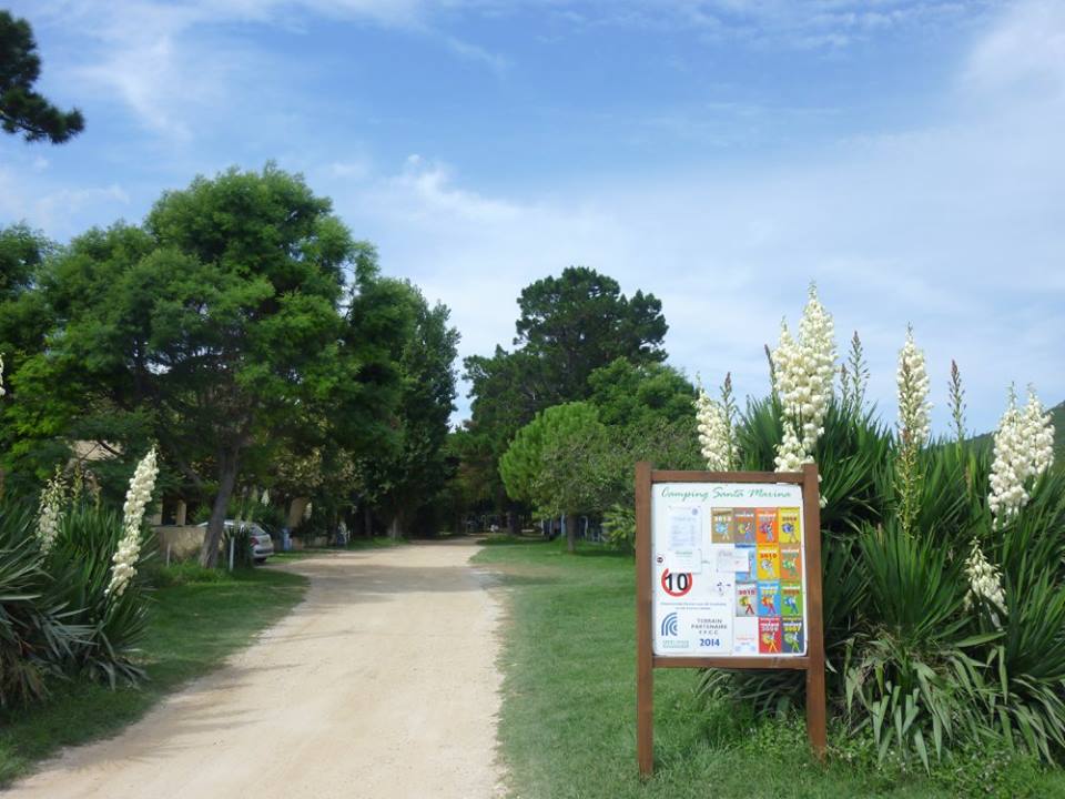 camping santa marina