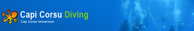 Plongée sous Marine Rogliano