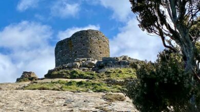 La Tour de Sénèque Luri / Pino