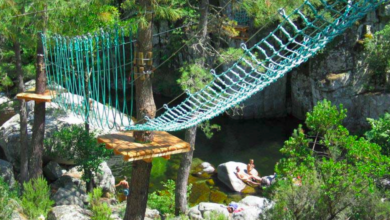 Parc Aventure Ghisoni
