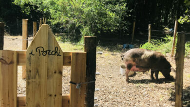 Ferme Auberge Ulicetu