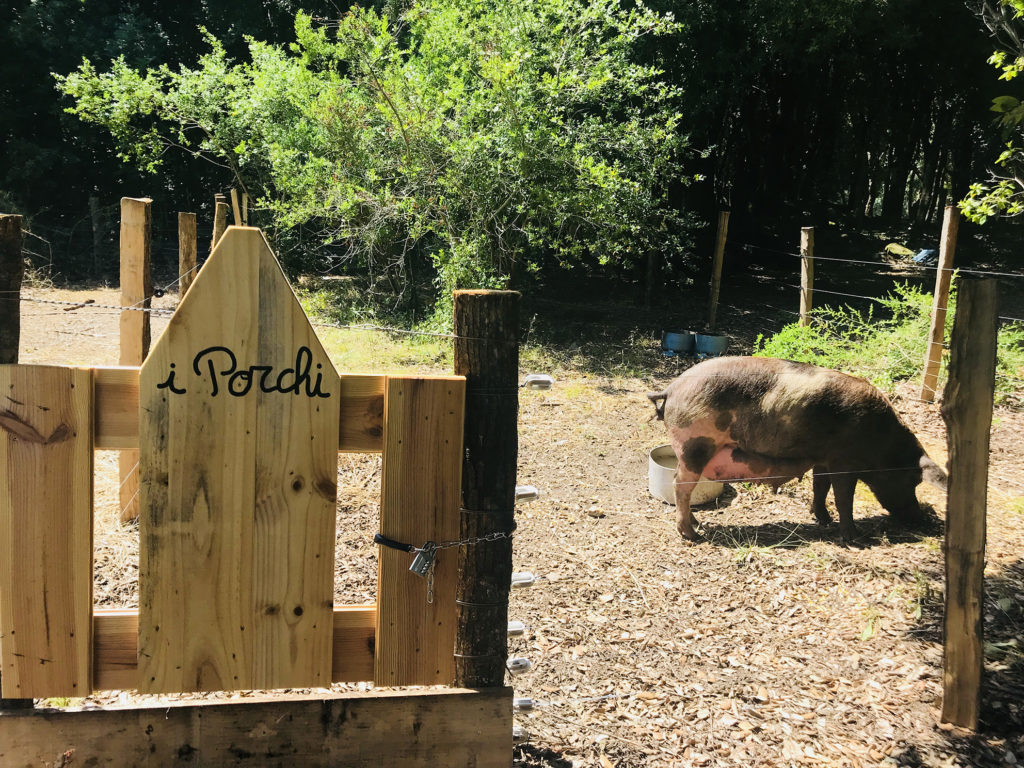 Ferme Auberge Ulicetu
