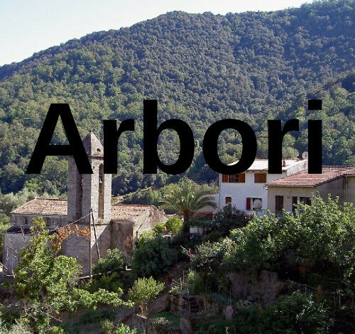 Arbori, Corse