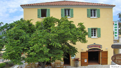 hotel du vignoble patrimonio