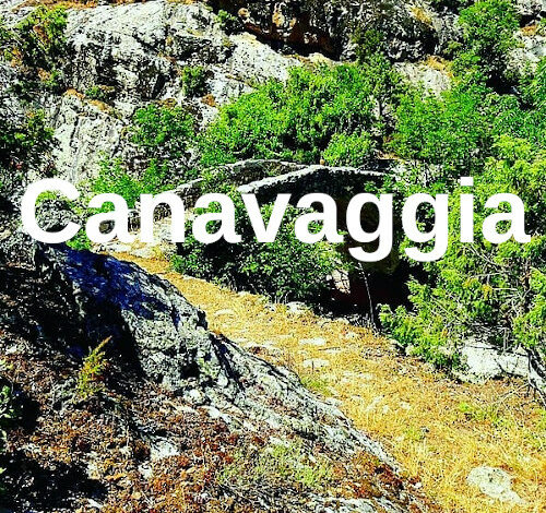 Canavaggia
