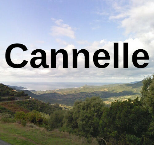 Cannelle