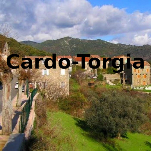 Cardo-Torgia