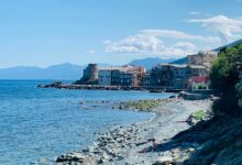 Plage d'Erbalunga, Brando