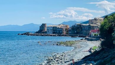 Plage d'Erbalunga, Brando