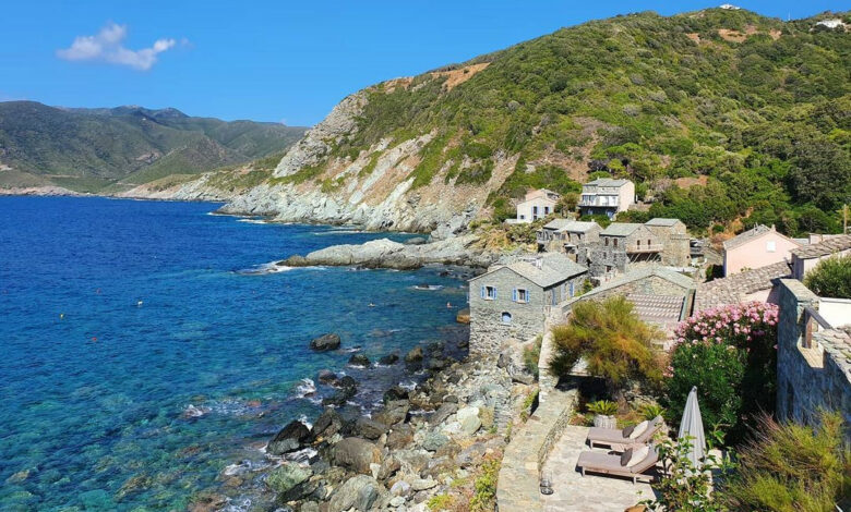Pino Cap Corse