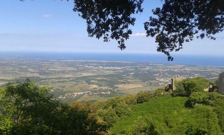 Prunelli di Fiumorbo