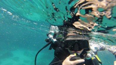 plongée sous marine bonifacio