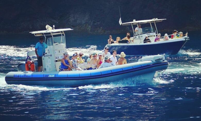 Promenade en mer Calvi