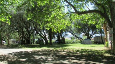 Camping d'Olzo Saint-Florent