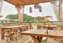 L Albore Paillote