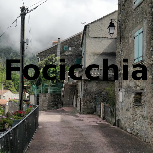 Focicchia