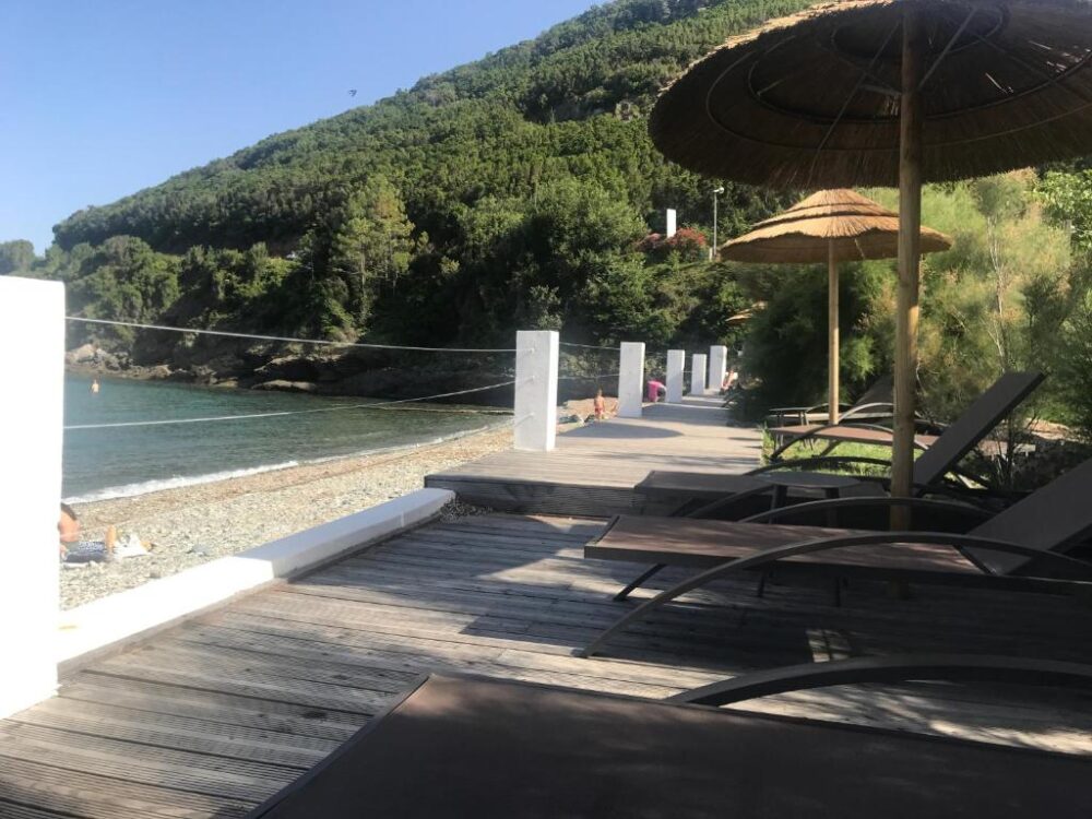 477515796
