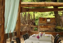 Âne regardant vers une table dressée extérieure.