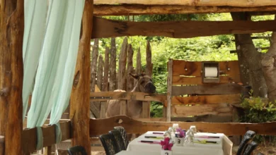 Âne regardant vers une table dressée extérieure.