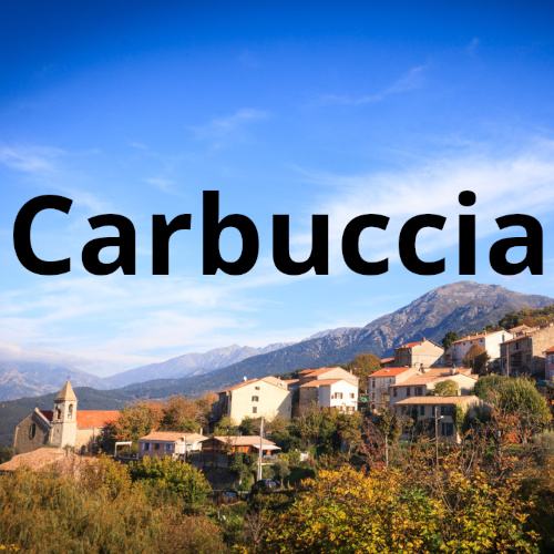 Carbuccia