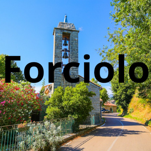 Forciolo